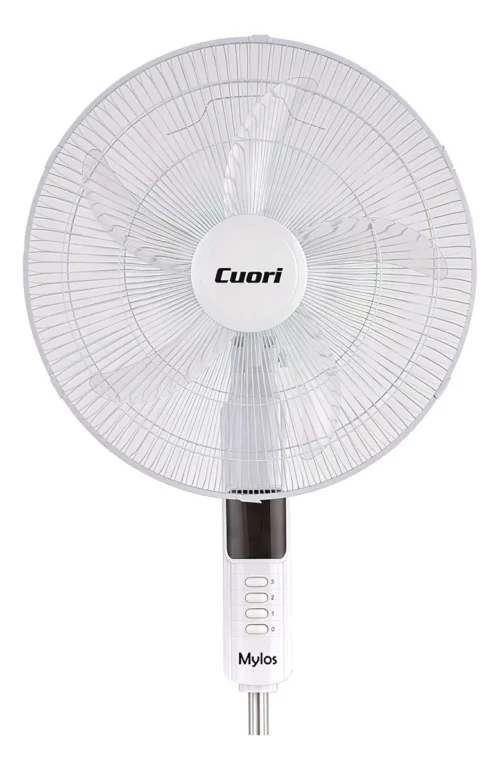 D_NQ_NP_2X_648493-MLU77302962938_072024-F