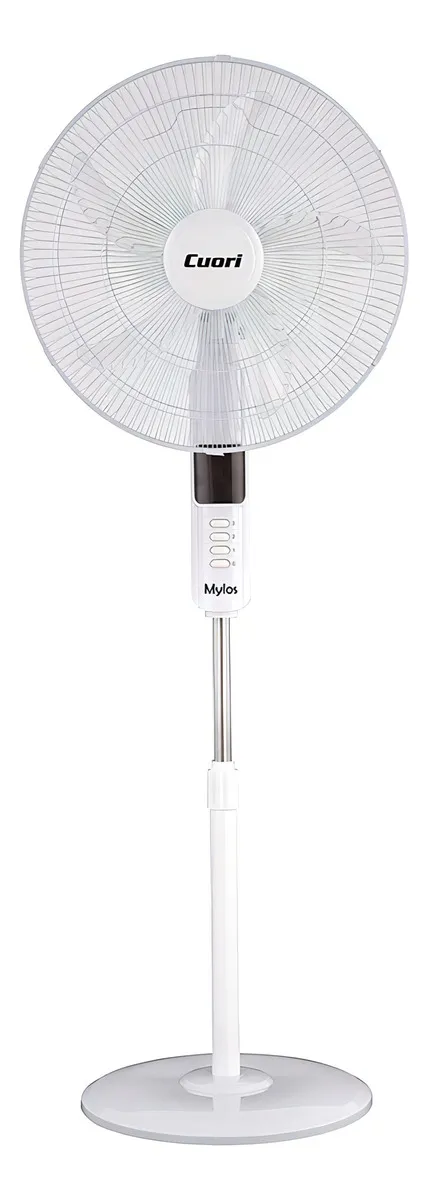 D_NQ_NP_2X_710208-MLU77518312503_072024-F